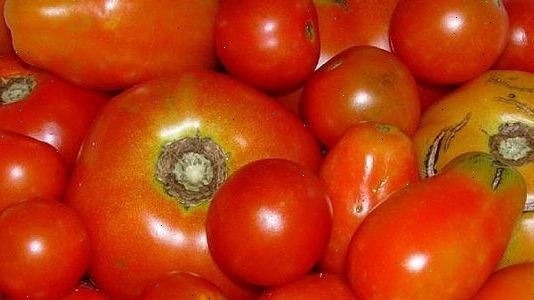 Hur att växa en tomatplanta. Jorden.